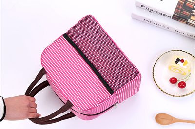 Lunch Bags Direct sales (5)