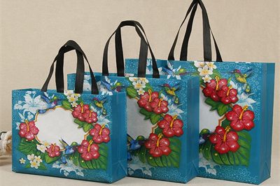 Non-Woven Bags Best-selling (2)