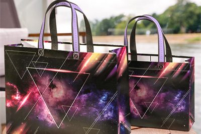 Non-Woven Bags wholesale 400