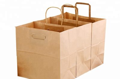 Paper Bags manufacturers 400