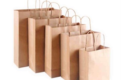 Paper Bags manufacturers (5)