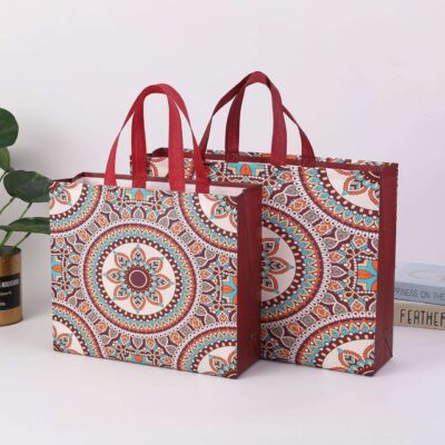 Lightweight Reusable Non Woven Gift Bags