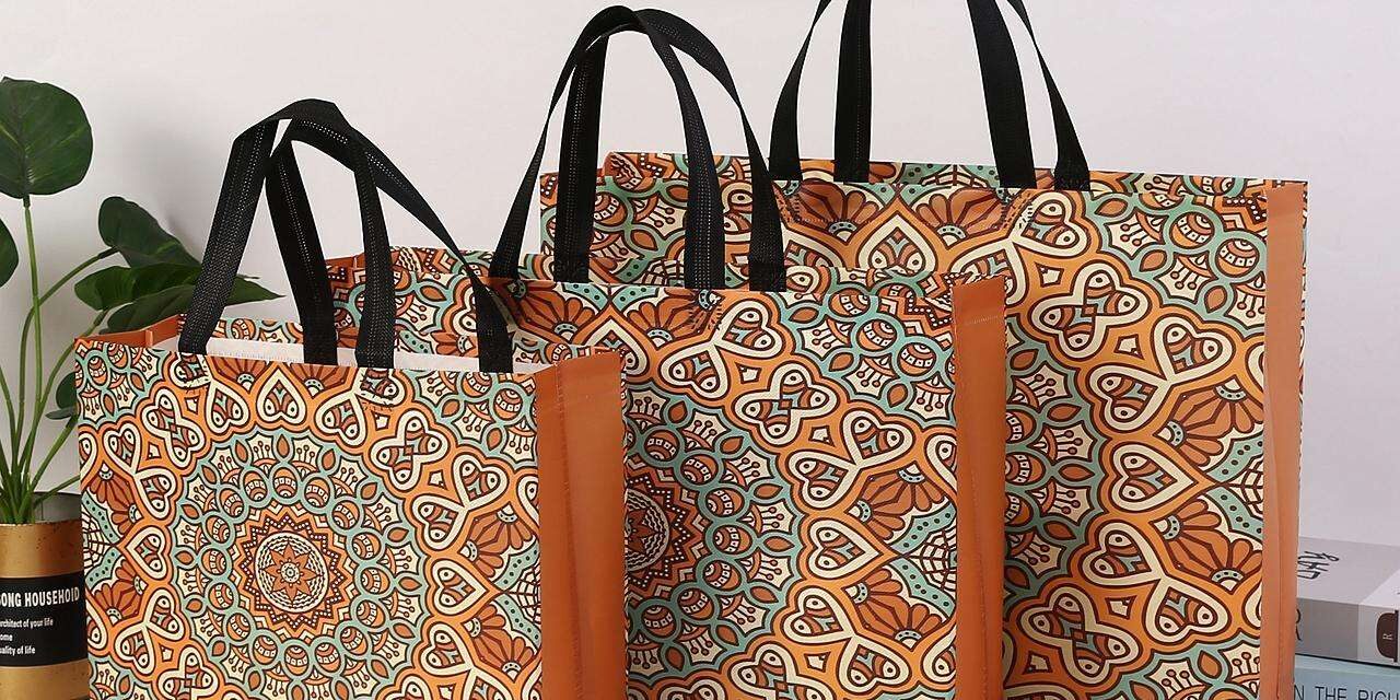 Lightweight Reusable Non Woven Gift Bags