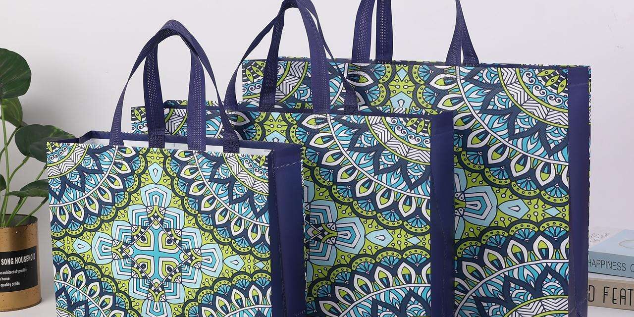 Lightweight Reusable Non Woven Gift Bags