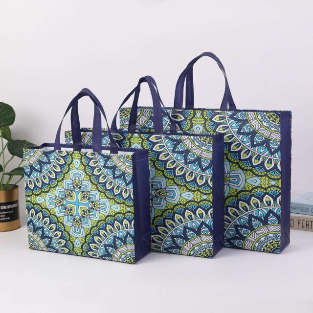 Lightweight Reusable Non Woven Gift Bags