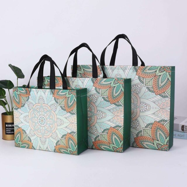 Durable Lightweight Eco Friendly Non Woven Tote Bags Reusable Gift Bags (4) Lightweight Reusable Non Woven Gift Bags