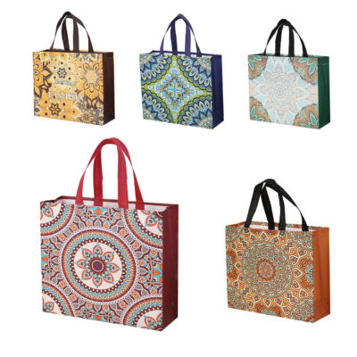 Lightweight Reusable Non Woven Gift Bags