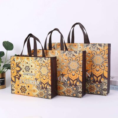 Lightweight Reusable Non Woven Gift Bags