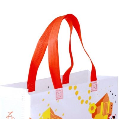 PP Spunbond Non Woven Fabric Shopping Bags
