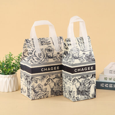 Non Woven Bags with Foldable Handles