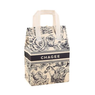 Non Woven Bags with Foldable Handles