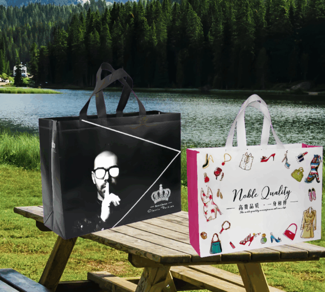 Reusable Non Woven Bags Eco Promotional Tote & Grocery Bag Supplier (1) Eco-Friendly Non Woven Tote Bags