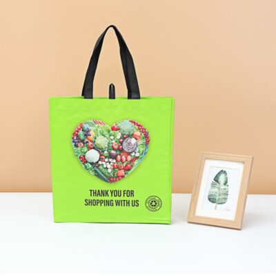 OEM custom non-woven eco bag